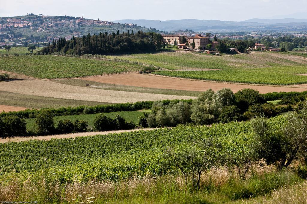 Tenuta Di Petriolo Torrita di Siena Exterior photo