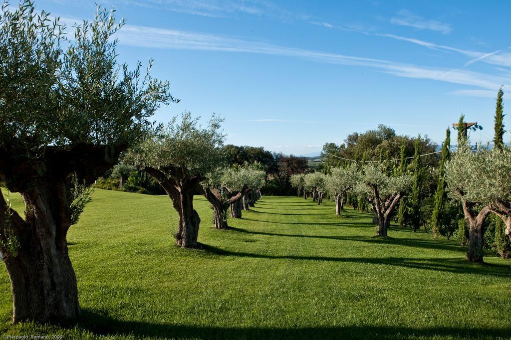 Tenuta Di Petriolo Torrita di Siena Exterior photo