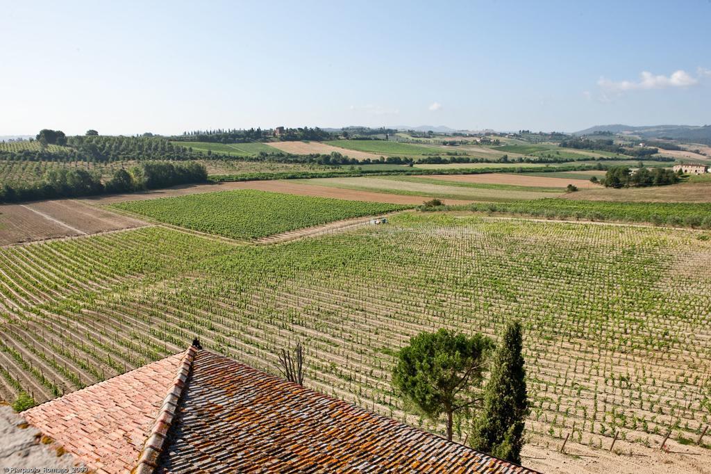 Tenuta Di Petriolo Torrita di Siena Exterior photo