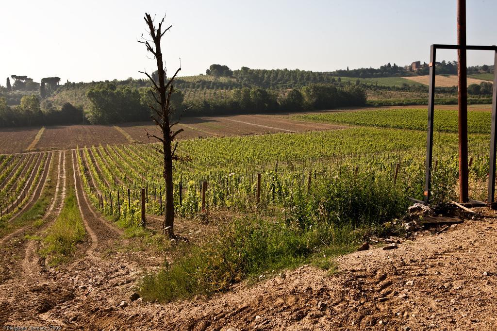 Tenuta Di Petriolo Torrita di Siena Exterior photo
