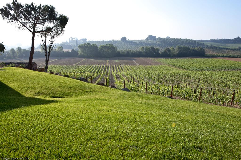 Tenuta Di Petriolo Torrita di Siena Exterior photo